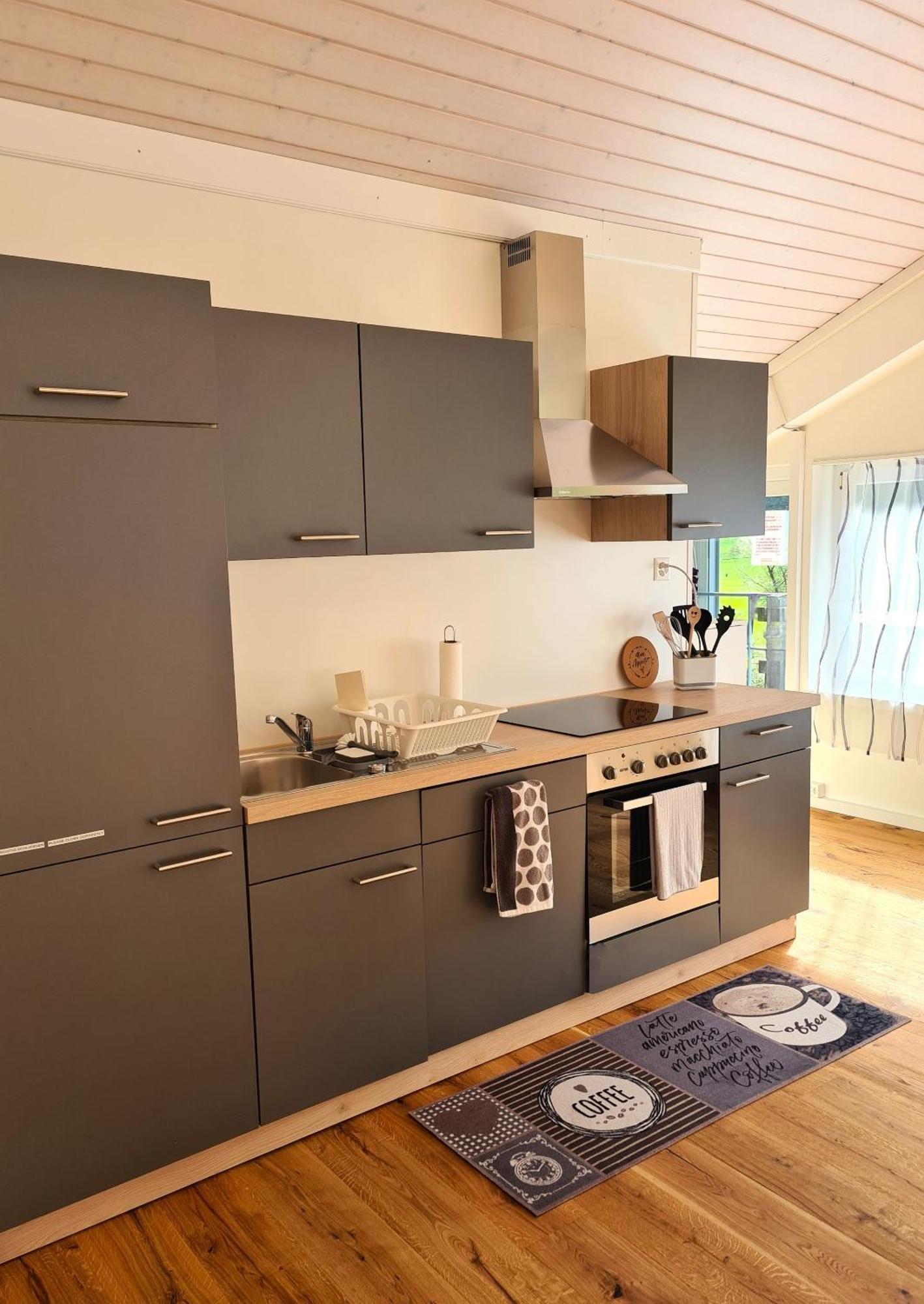 Muota River Loft & Muota Industry Apartment Near Stoos Muotathal Esterno foto