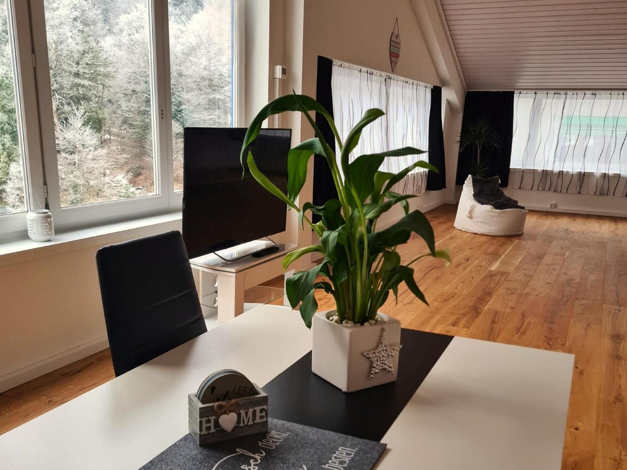 Muota River Loft & Muota Industry Apartment Near Stoos Muotathal Esterno foto
